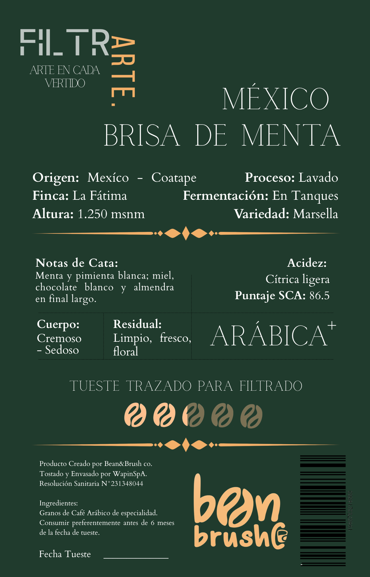 México Brisa de Menta – Café de Especialidad para Filtrado | Floral, Cremoso y Refrescante